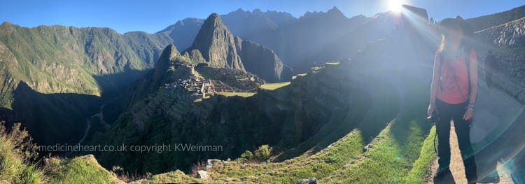 The Origins and Nature of Andean Medicine